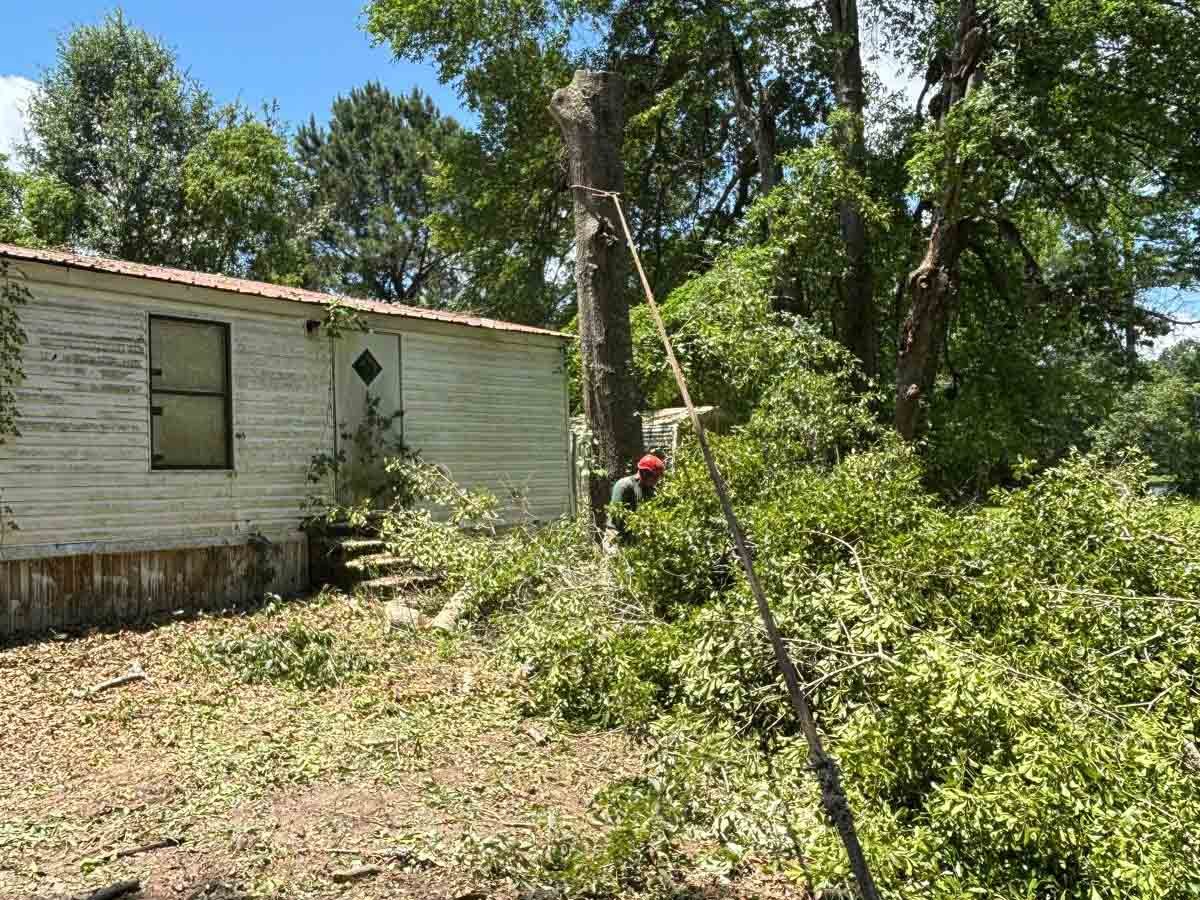 El Costeño Tree Service LLC